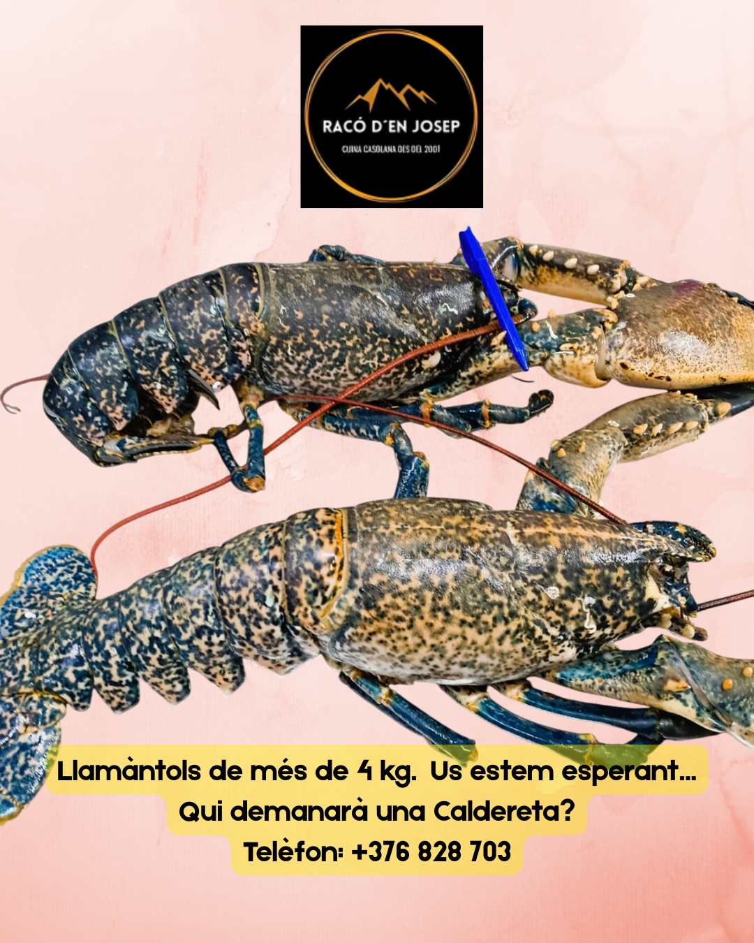🦞🔥 Us estem esperant! Qui serà el valent que es menjarà aquests llamàntols de més de 4 kg? Al Racó d’en Josep tenim autèntiques joies del mar, fresques, espectaculars i preparades perquè el nostre xef els converteixi en un plat inoblidable: ✨ A la graella ✨ En suquet tradicional ✨ En arròs melós ✨ O com més us agradi Una experiència per als amants del marisc de veritat. Reserva i vine a gaudir d’un producte únic al centre d’Andorra la Vella. #RacóDenJosep #MariscFresc #Llamàntol #CuinaTradicional #GastronomiaAndorrana